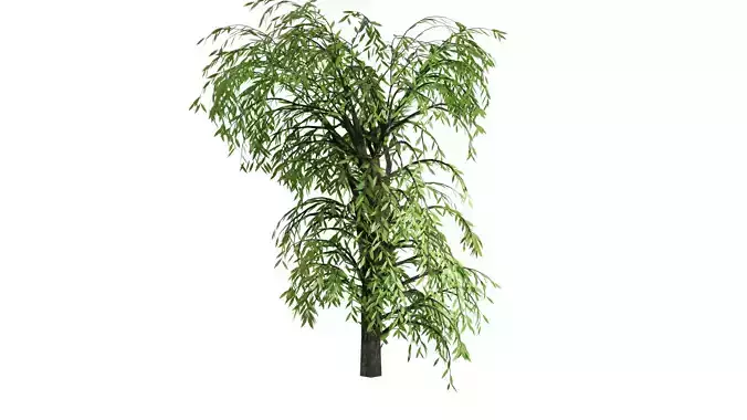 realistic looking tree with leaves