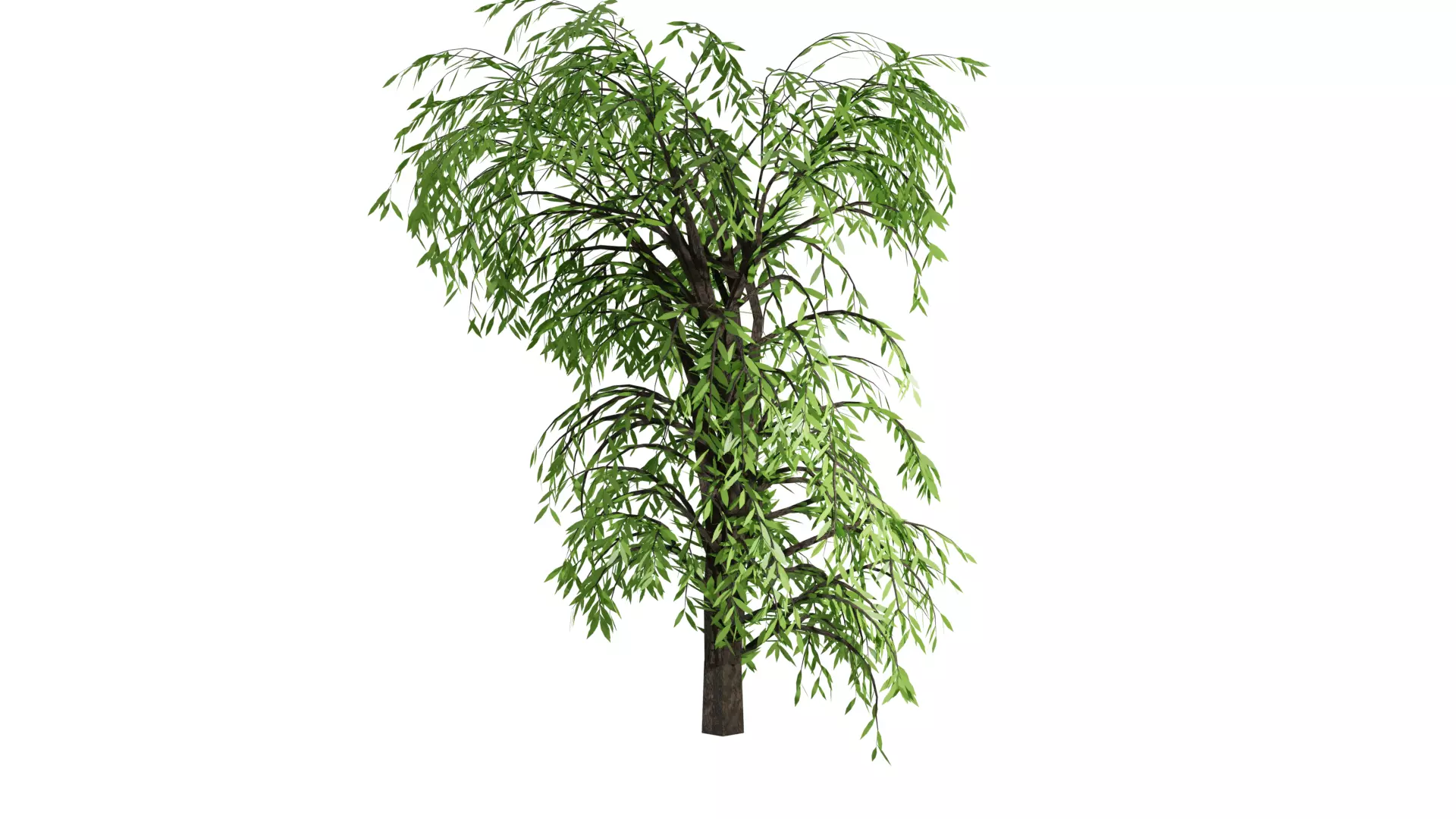 realistic looking tree with leaves Free 3D model_0