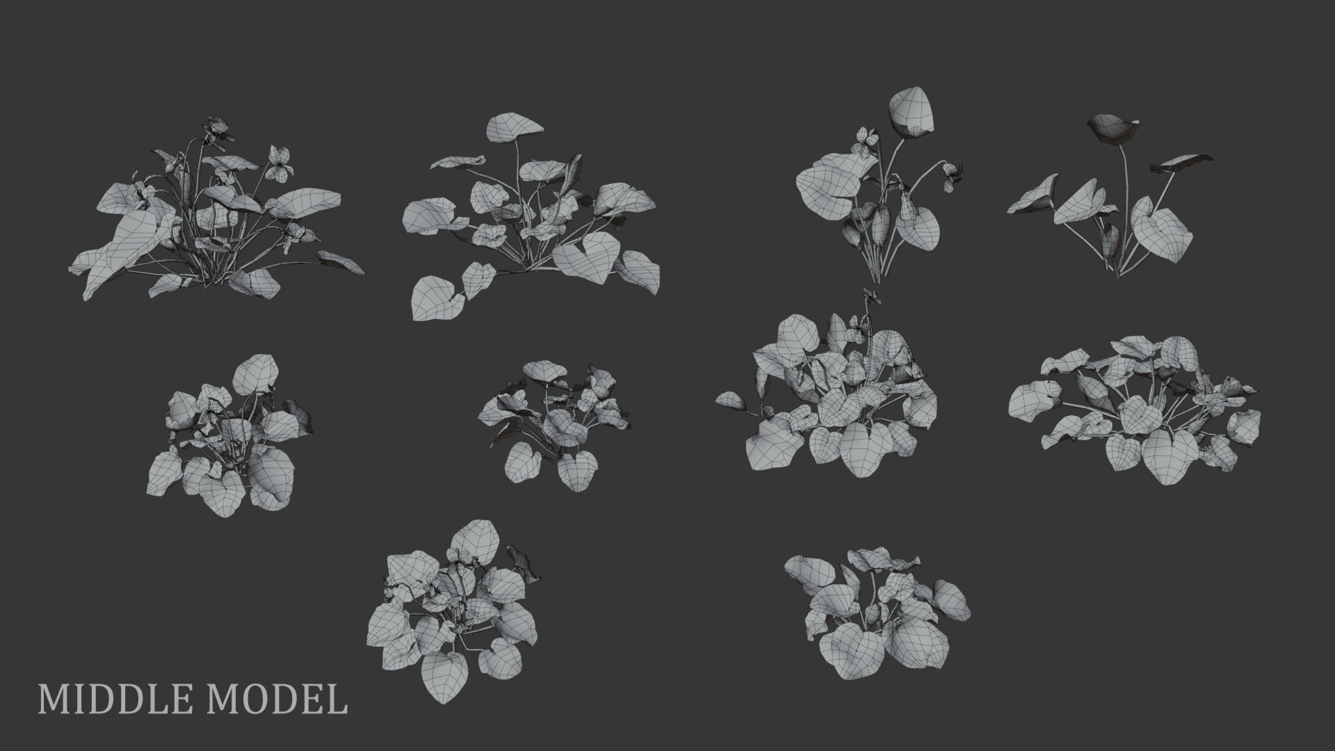 Sweet violet Low-poly 3D model_5