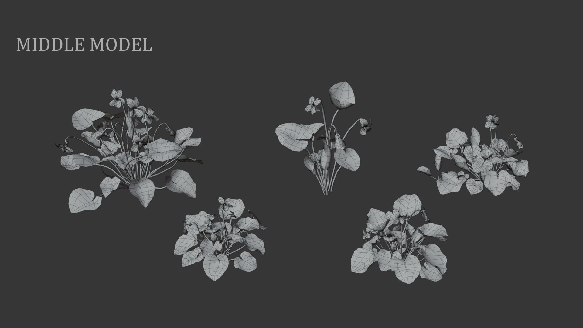 Sweet violet Low-poly 3D model_6