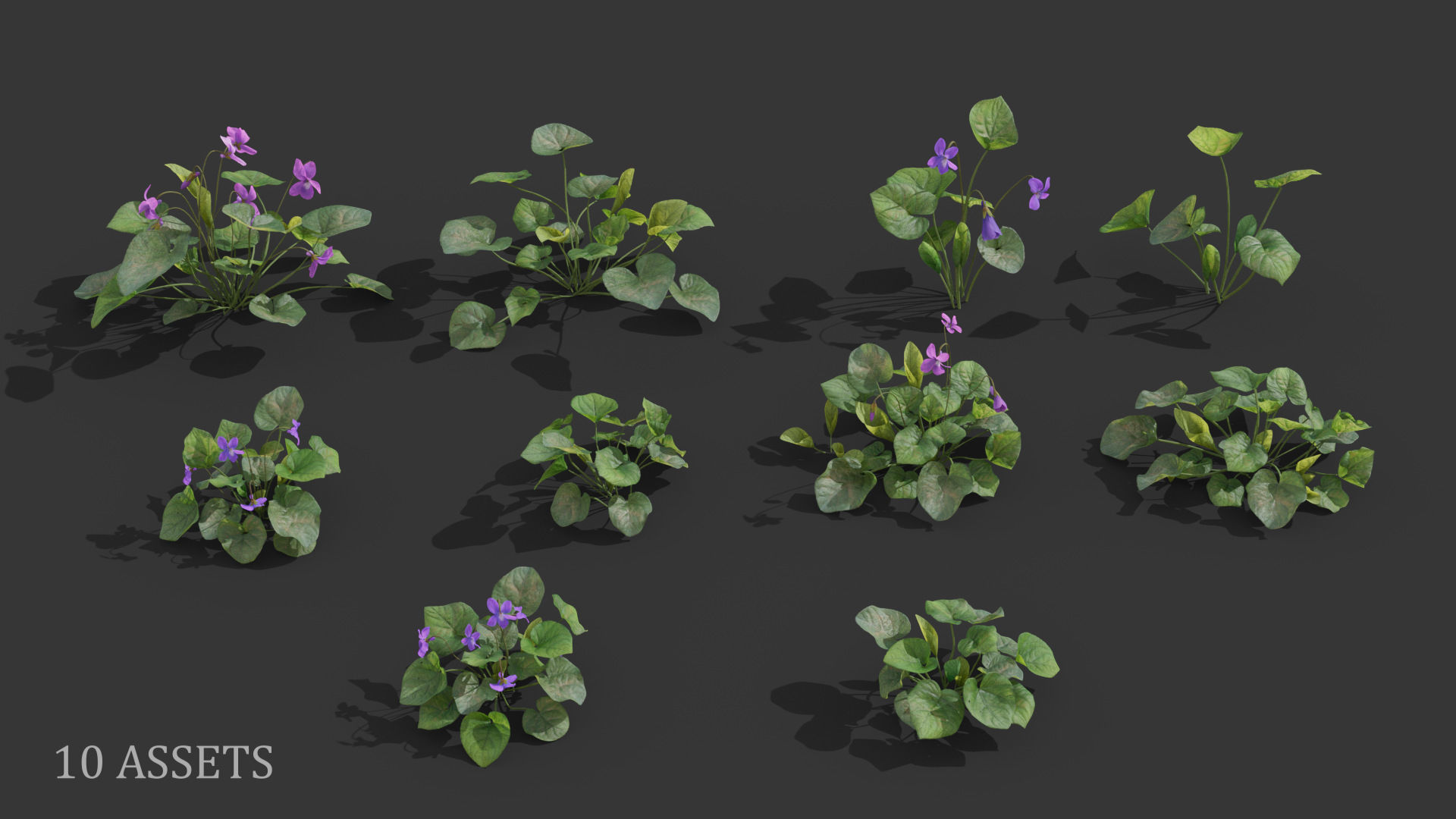 Sweet violet Low-poly 3D model_2