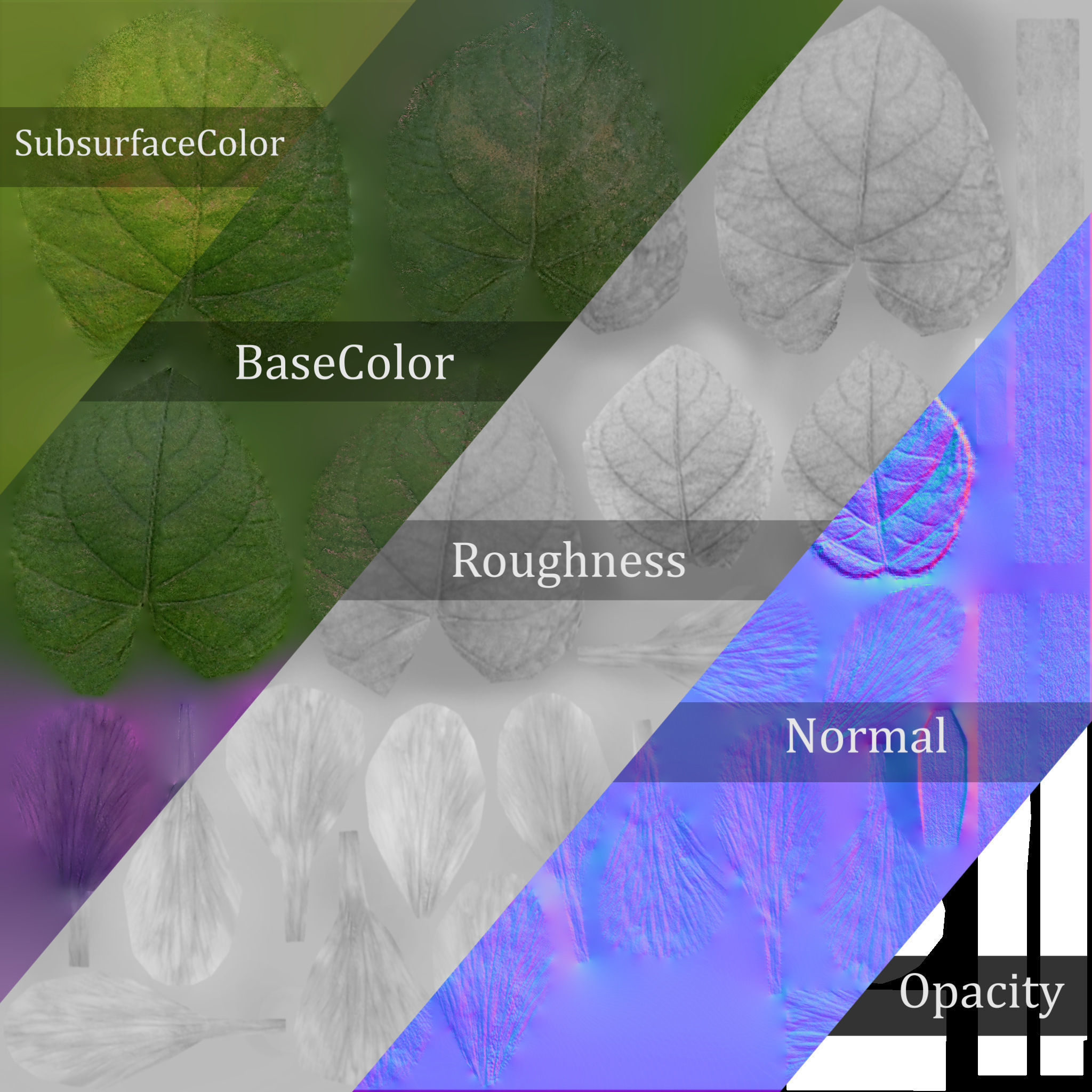 Sweet violet Low-poly 3D model_9