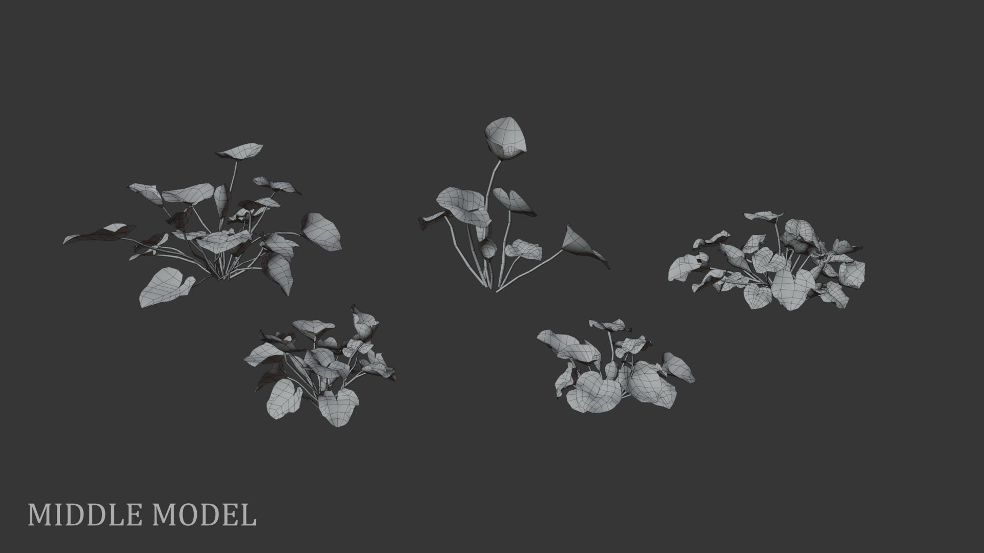 Sweet violet Low-poly 3D model_7