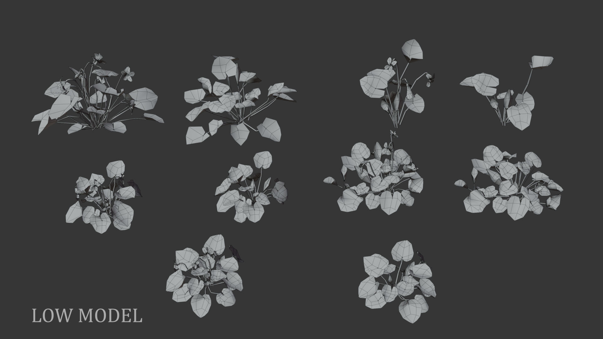 Sweet violet Low-poly 3D model_8