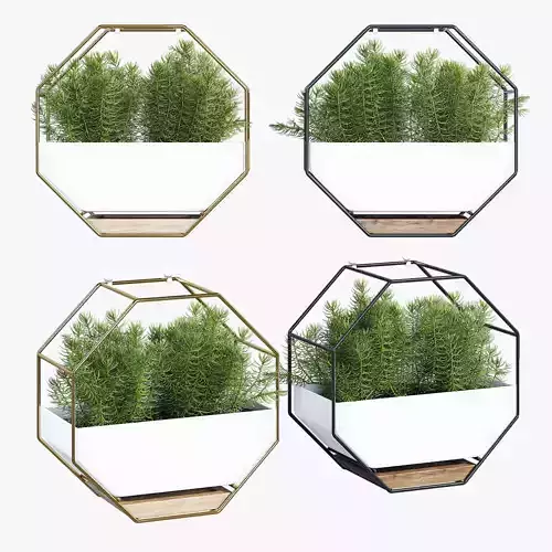 Ivolador octagonal planter with plants in it