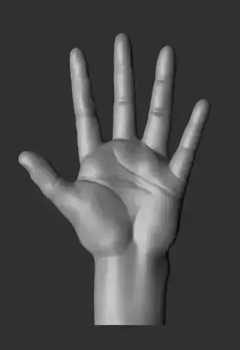 Basic IMM Hand 