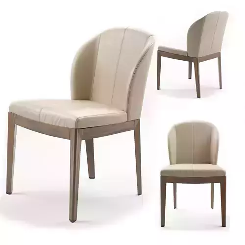 Giorgetti normal chair Leather  Beige