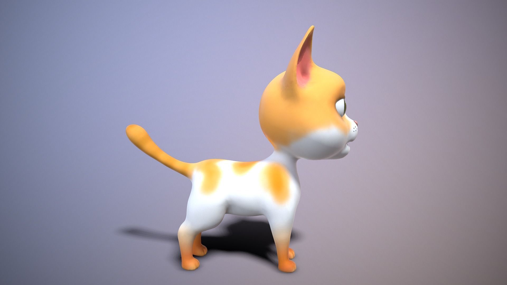 cartoon yong cat Low-poly 3D model_4