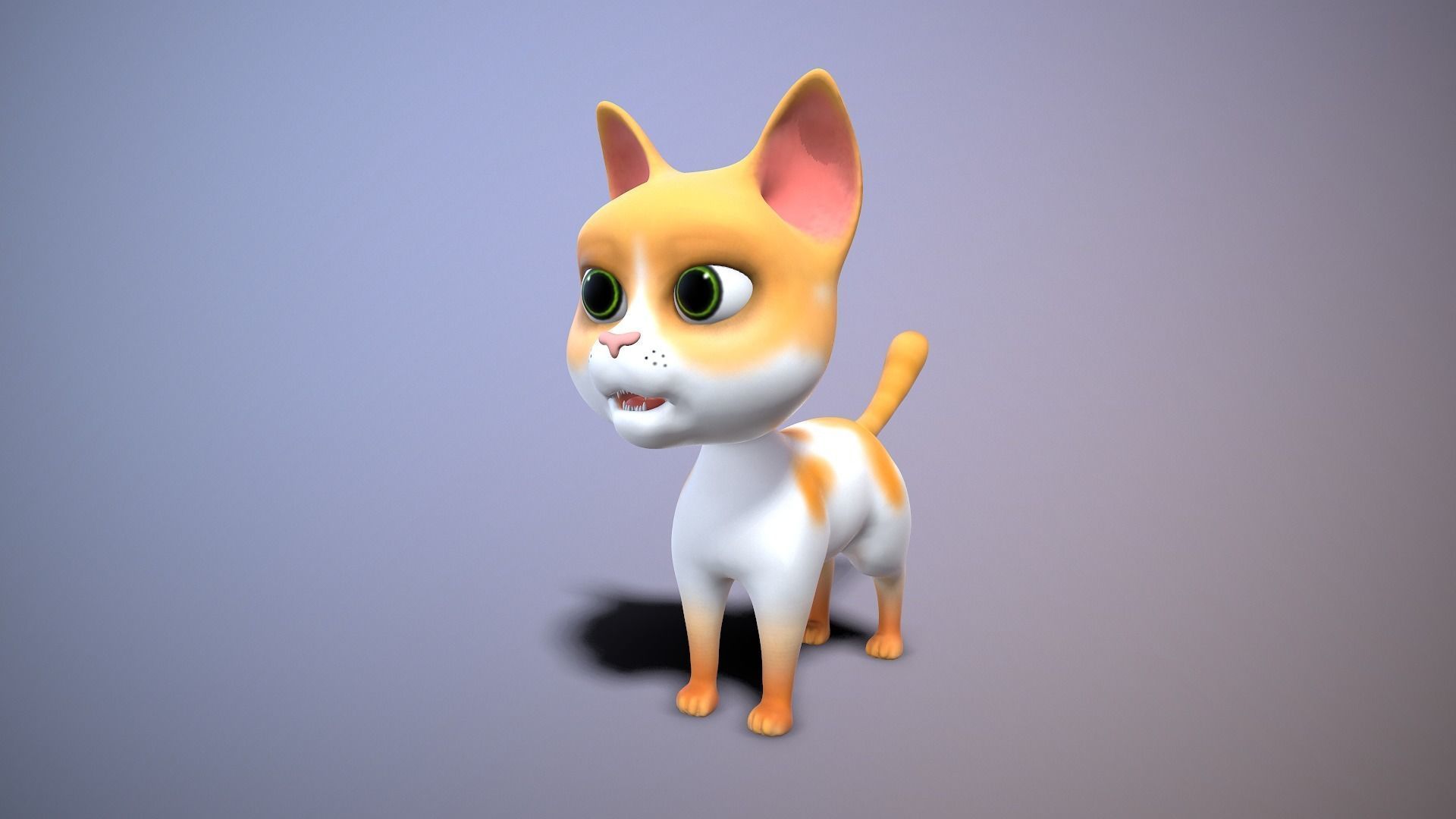cartoon yong cat Low-poly 3D model_8