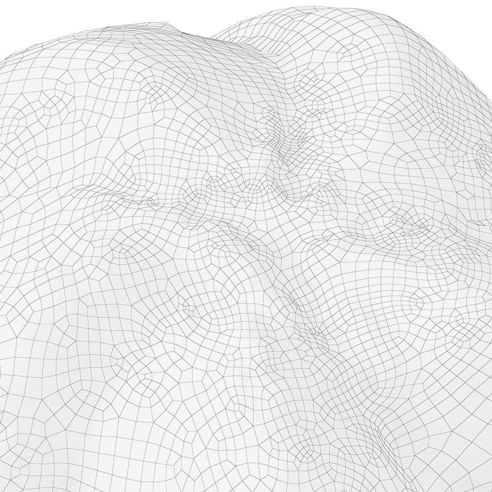 Bread Roll 3D model_8