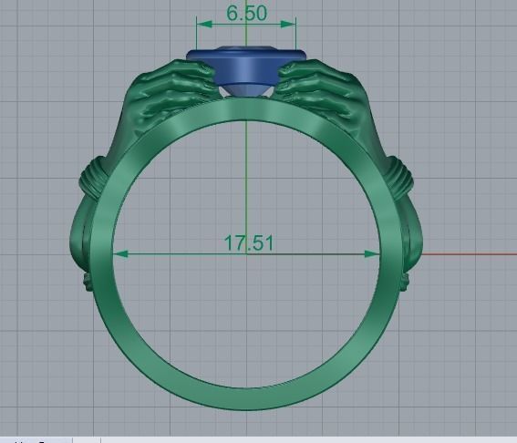 70 ring 3D print model_2