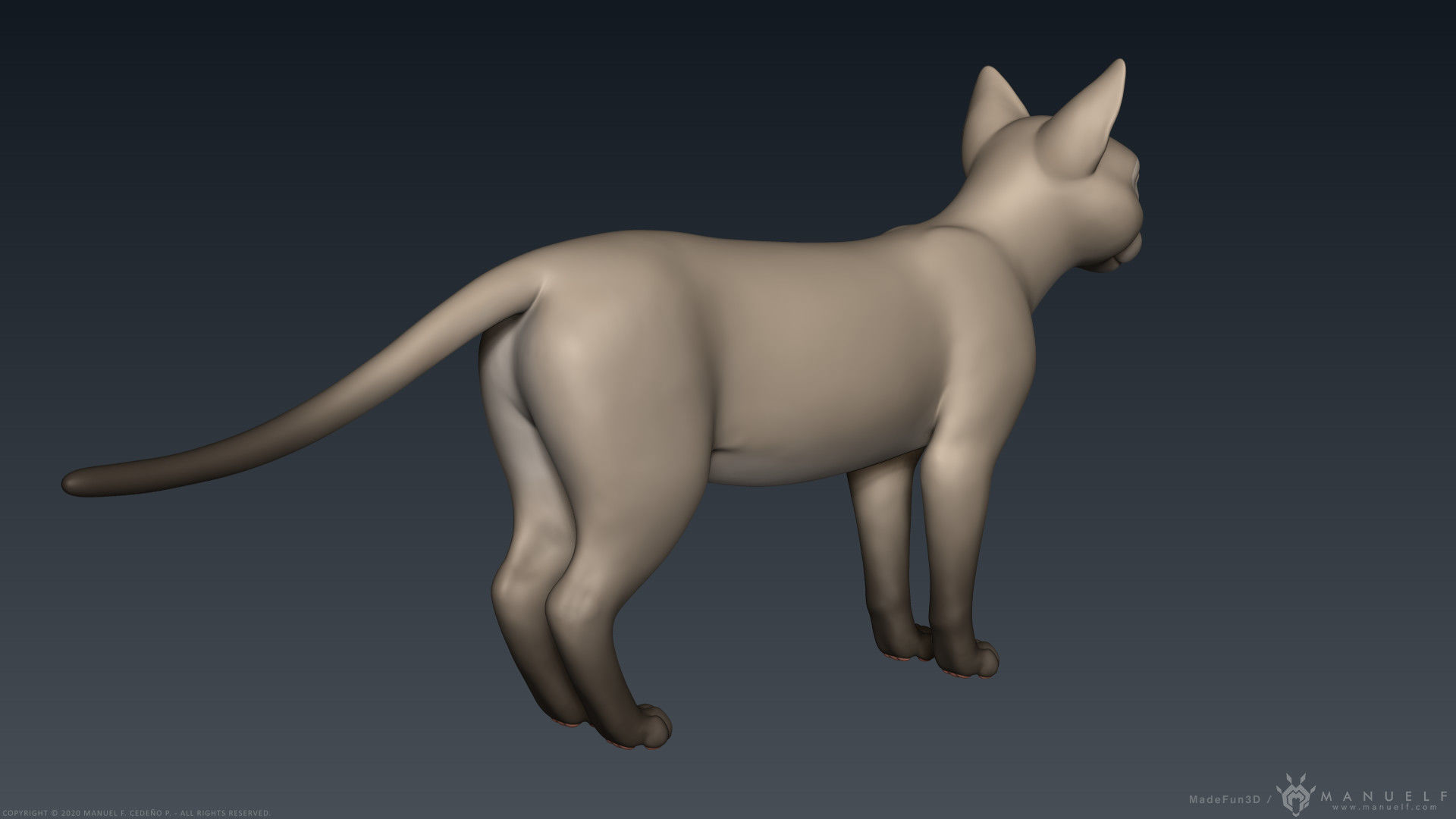 Stylized Cartoon Cat 3D model_5