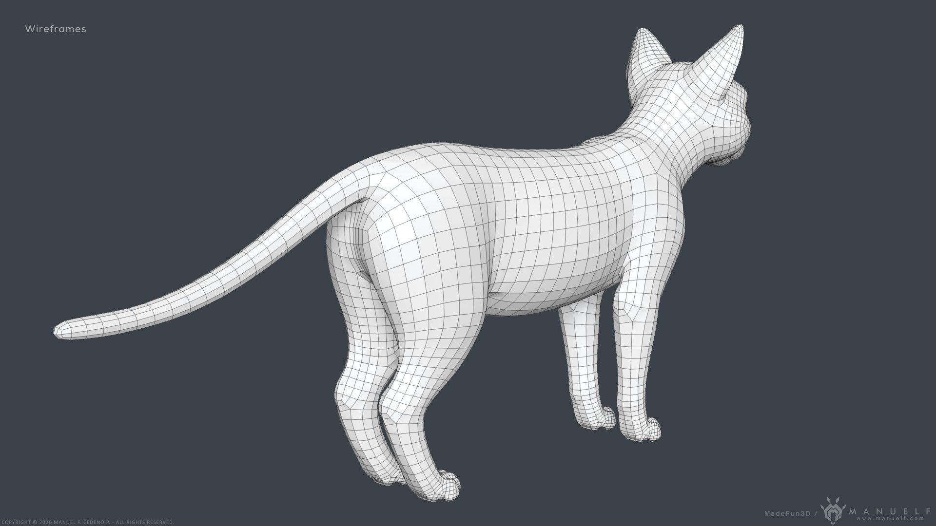 Stylized Cartoon Cat 3D model_24