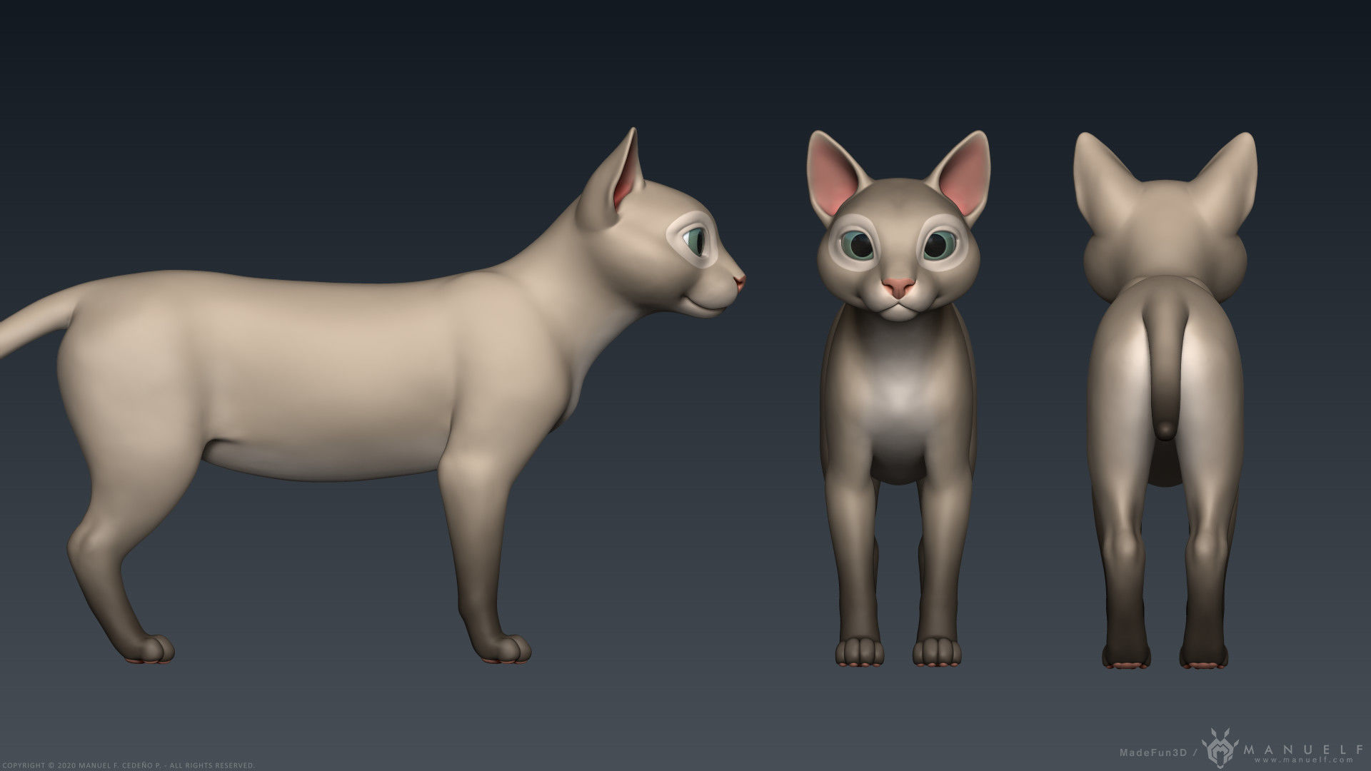 Stylized Cartoon Cat 3D model_8