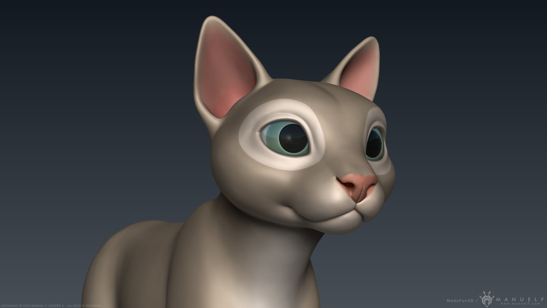 Stylized Cartoon Cat 3D model_11