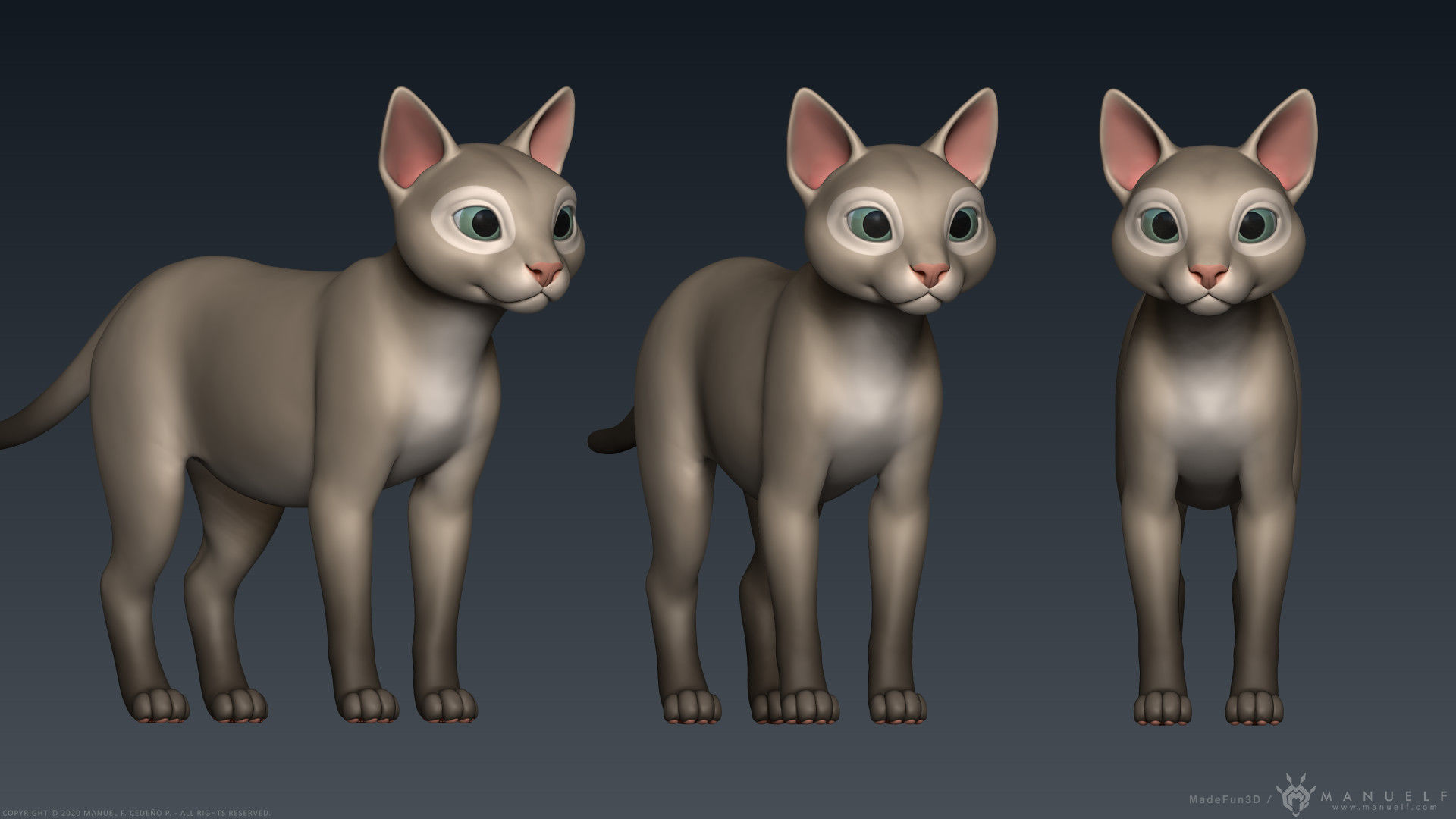 Stylized Cartoon Cat 3D model_20