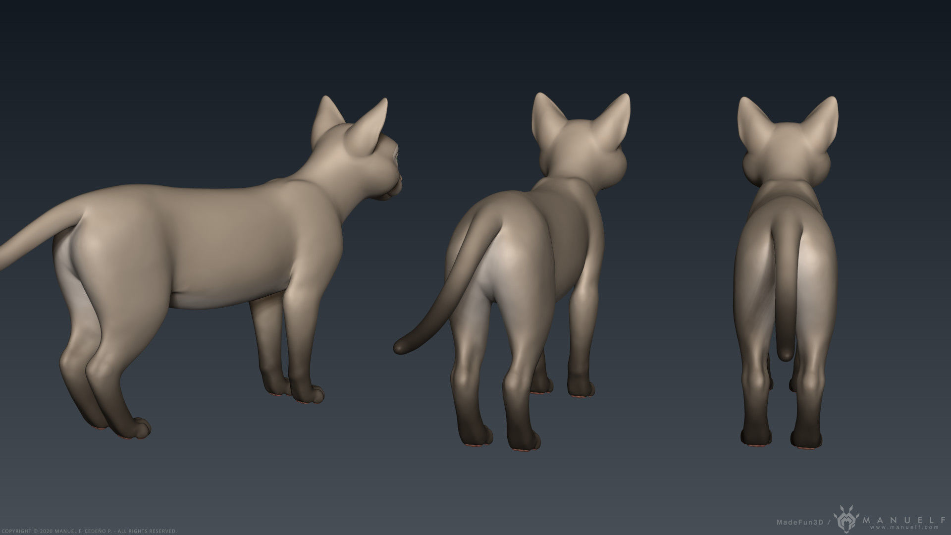 Stylized Cartoon Cat 3D model_9