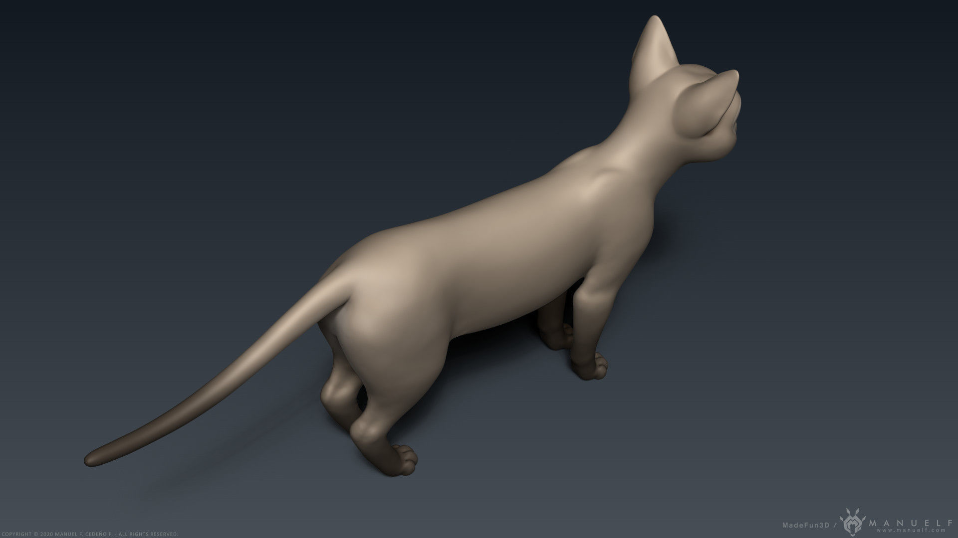 Stylized Cartoon Cat 3D model_6