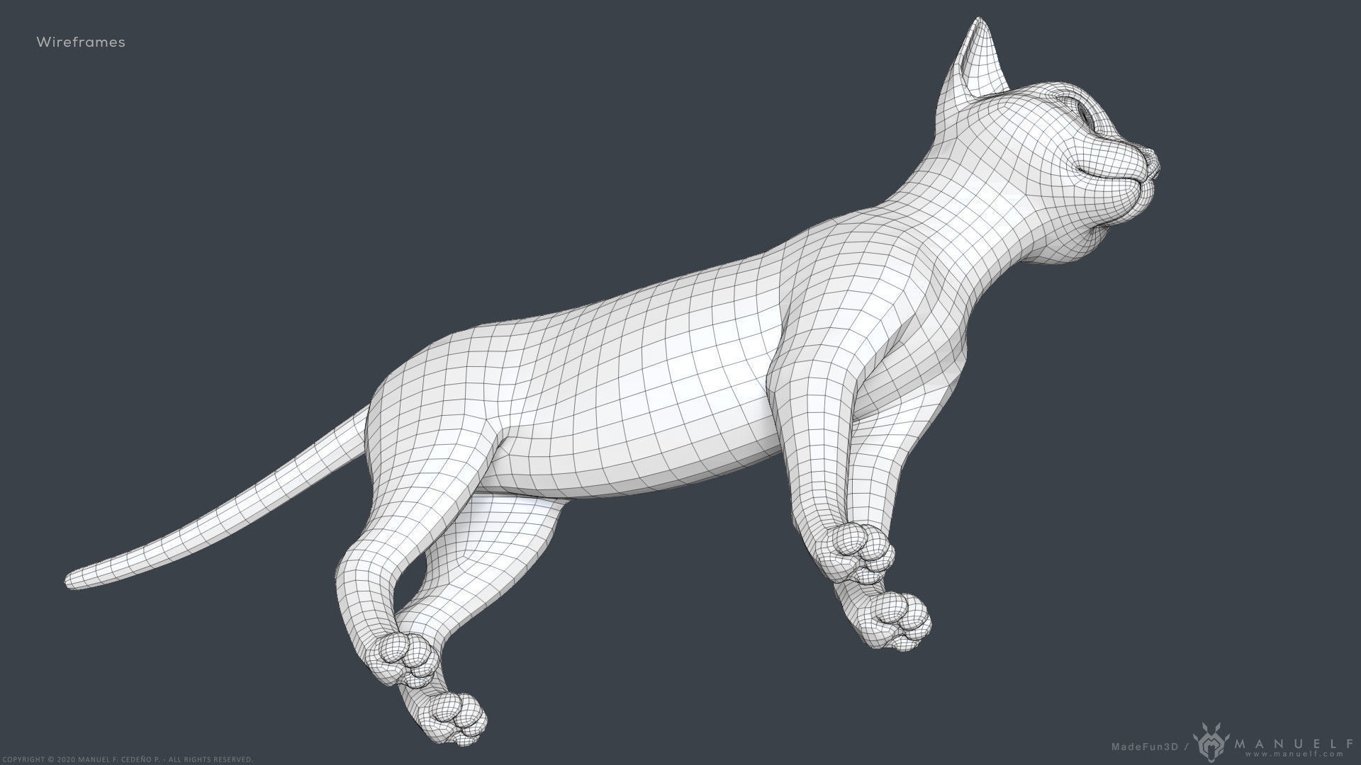 Stylized Cartoon Cat 3D model_27