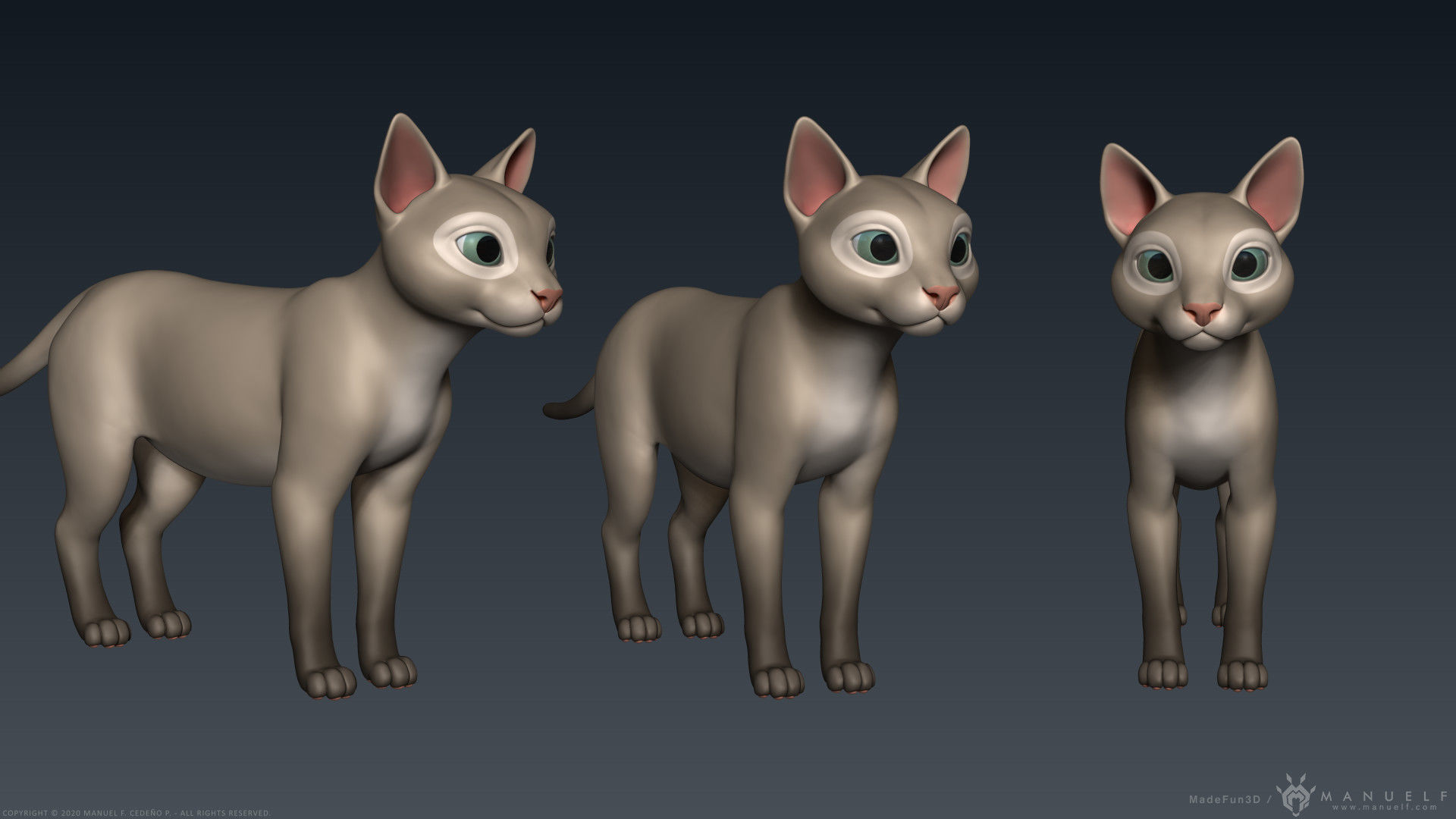 Stylized Cartoon Cat 3D model_1