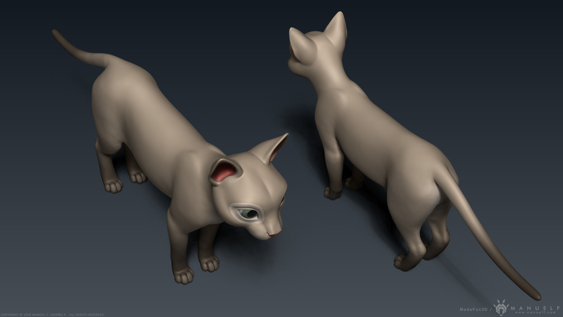Stylized Cartoon Cat 3D model_13