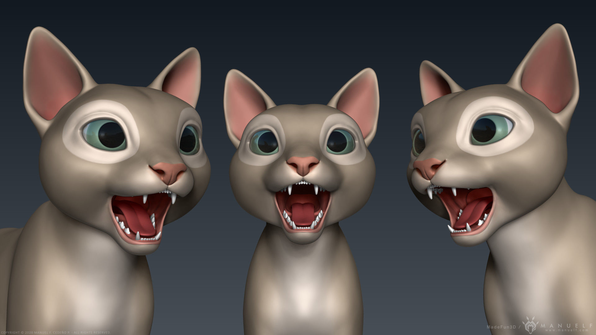Stylized Cartoon Cat 3D model_19