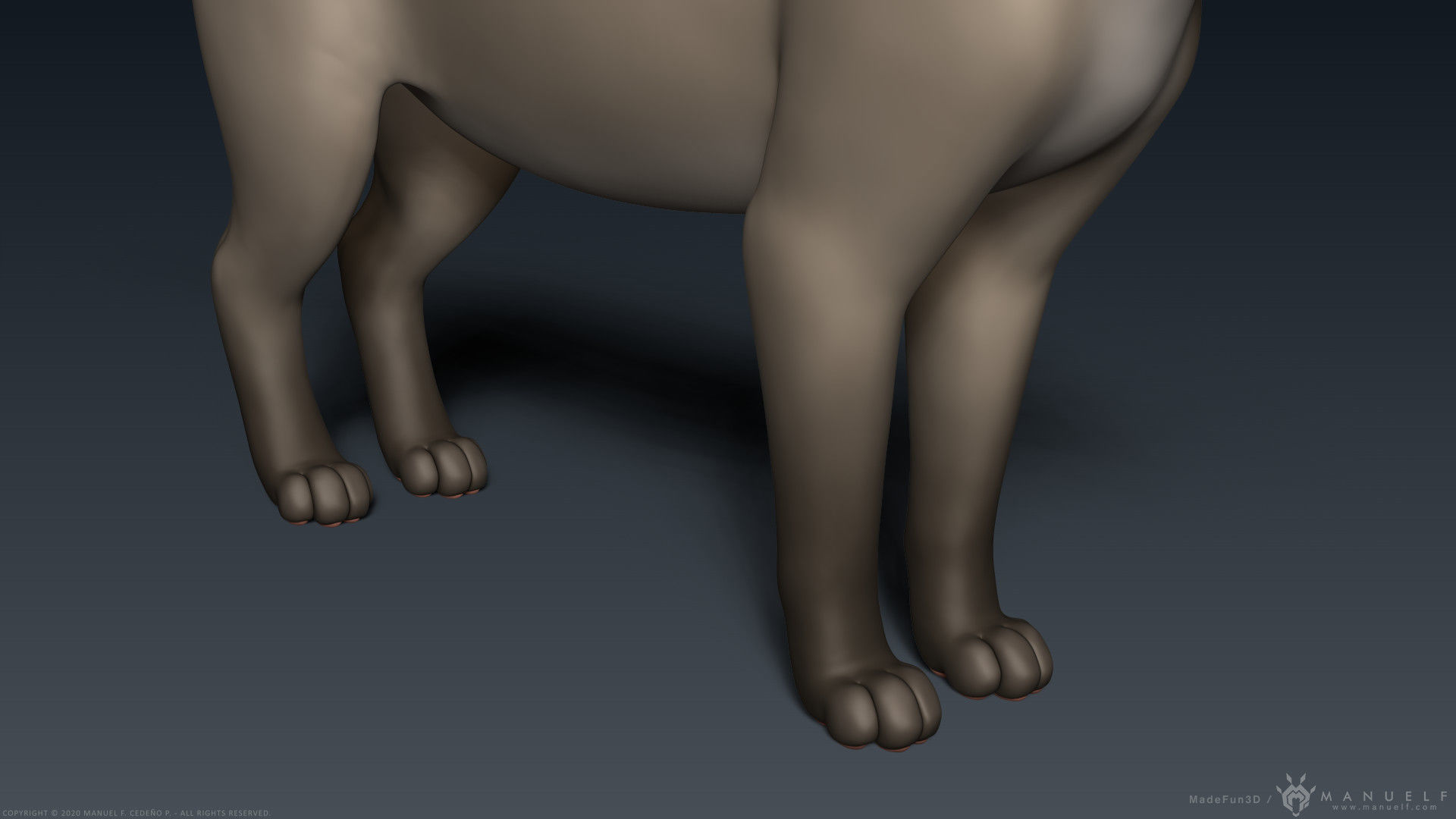 Stylized Cartoon Cat 3D model_16