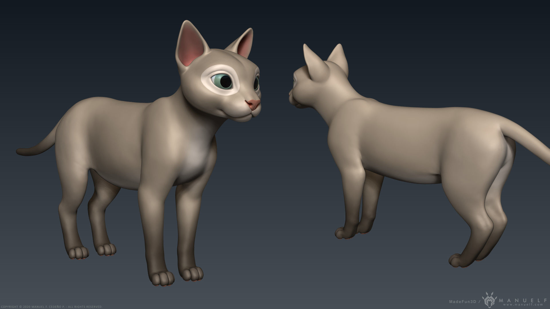 Stylized Cartoon Cat 3D model_7