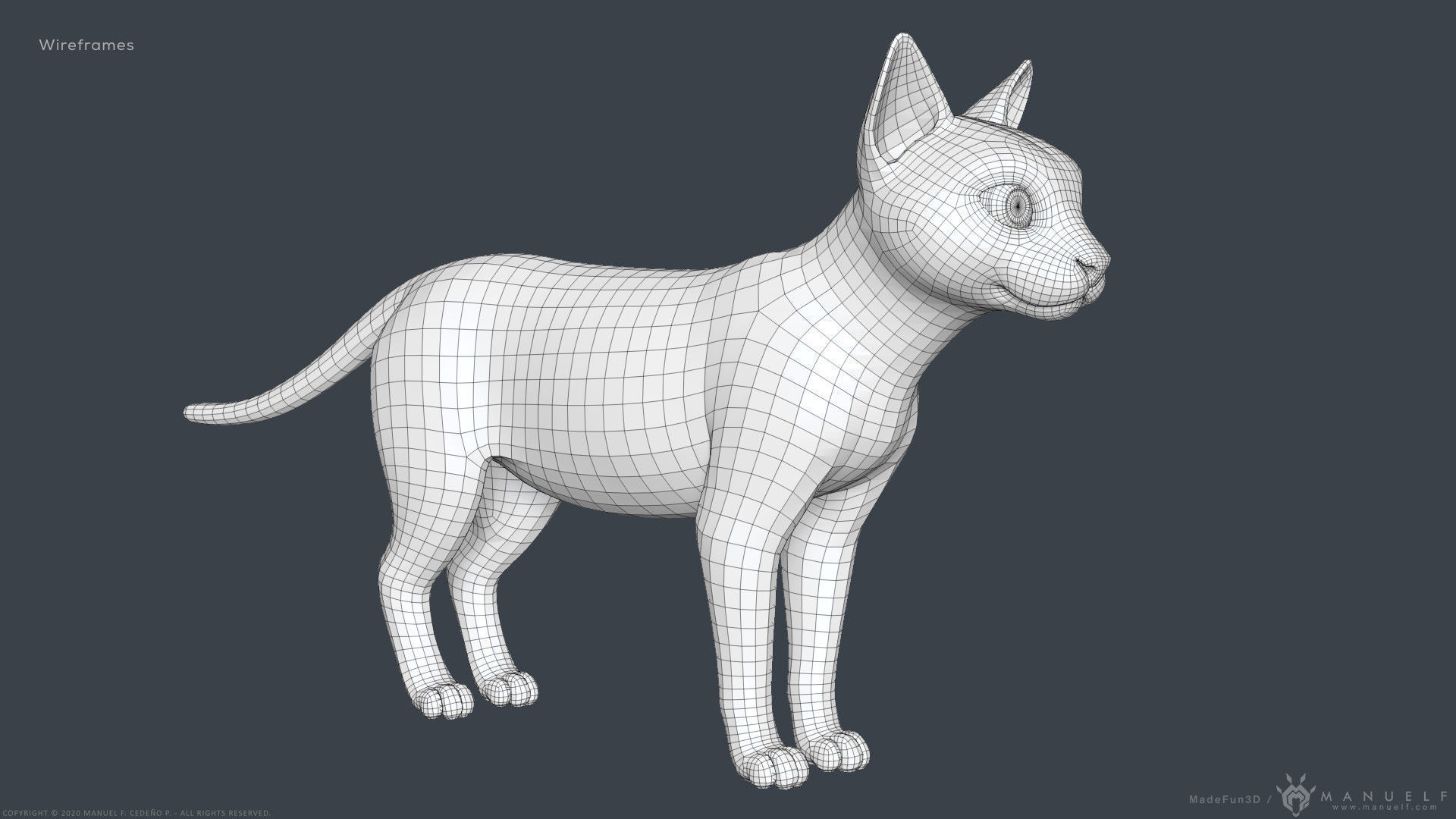 Stylized Cartoon Cat 3D model_23