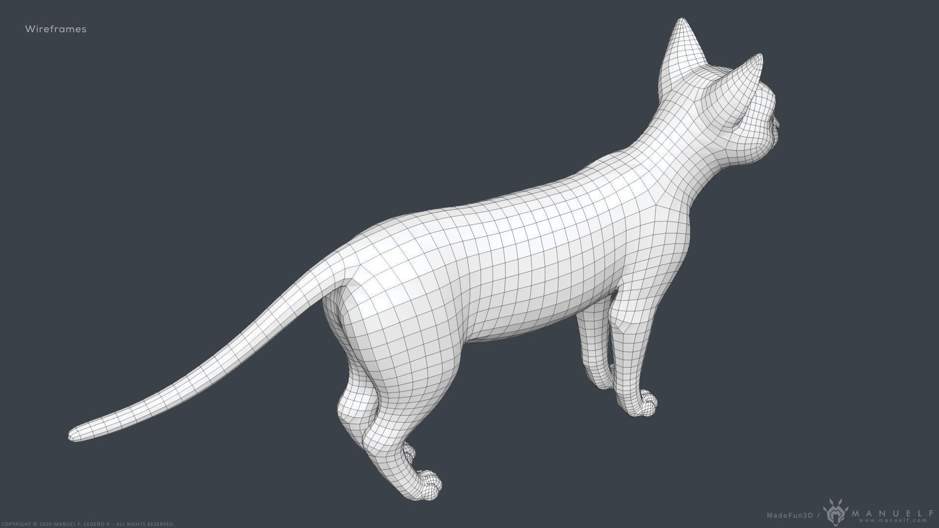 Stylized Cartoon Cat 3D model_26