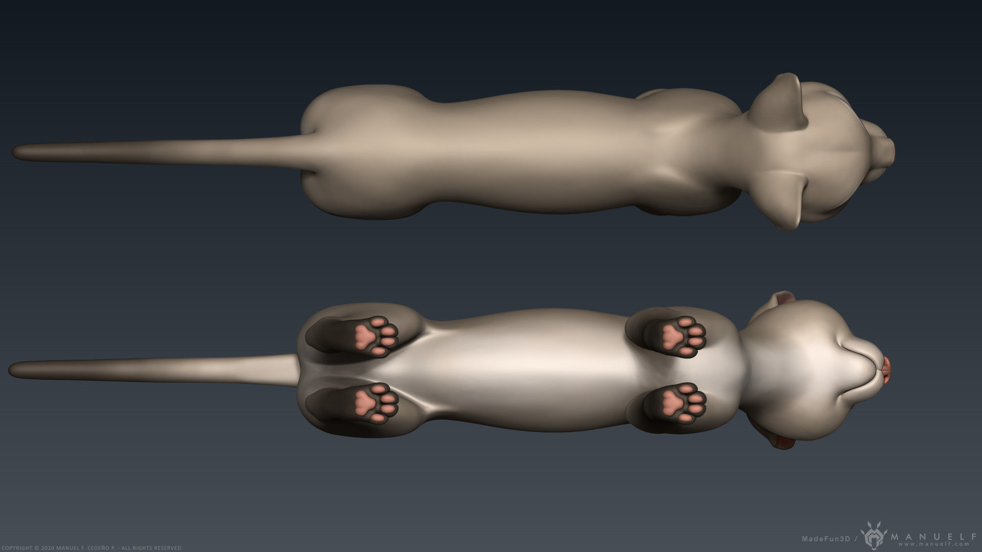 Stylized Cartoon Cat 3D model_14