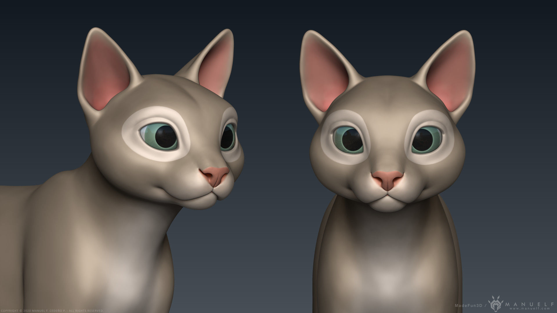 Stylized Cartoon Cat 3D model_12