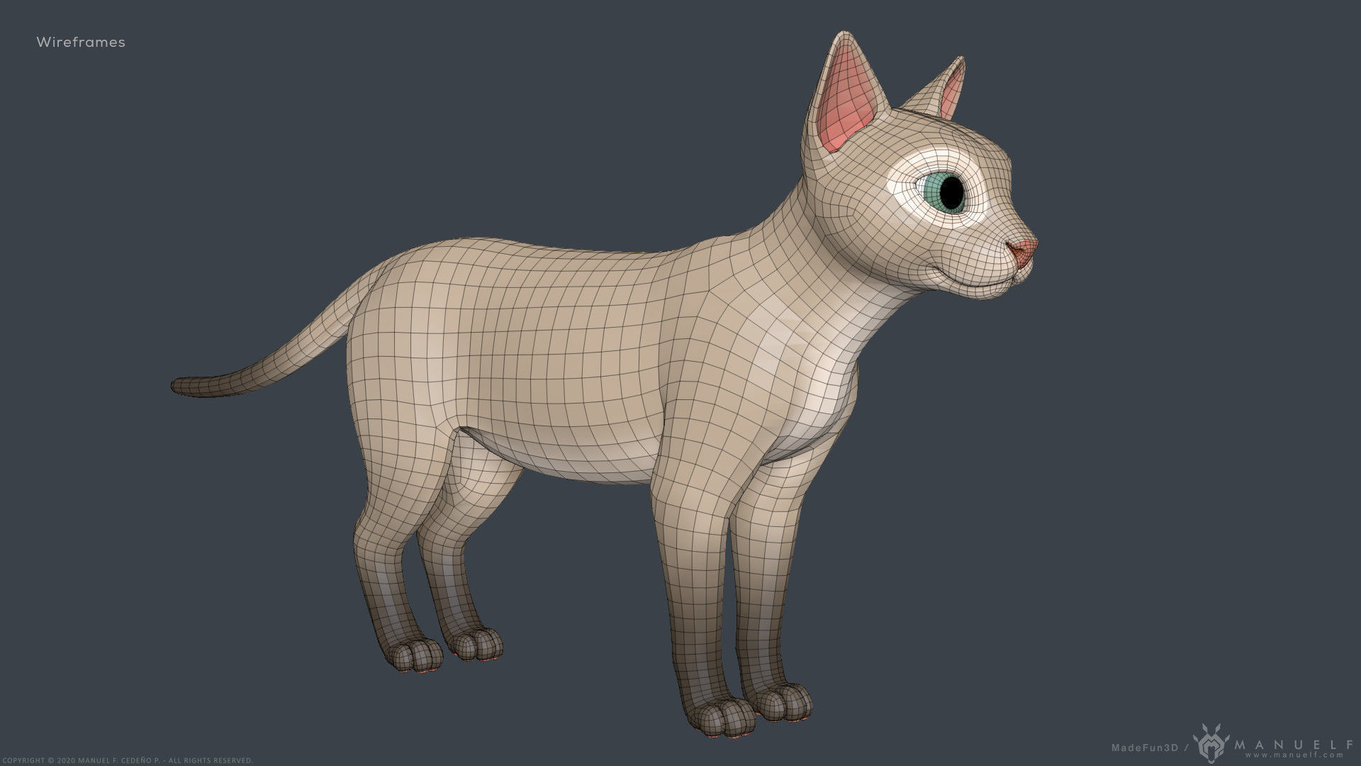 Stylized Cartoon Cat 3D model_21