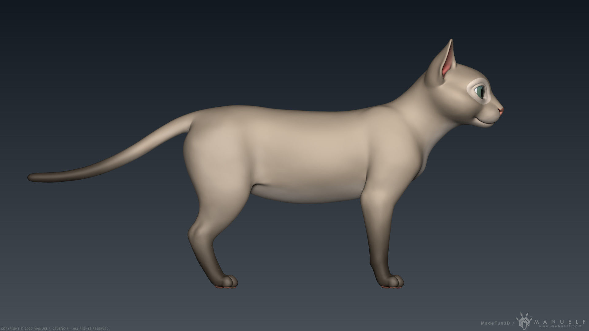 Stylized Cartoon Cat 3D model_4