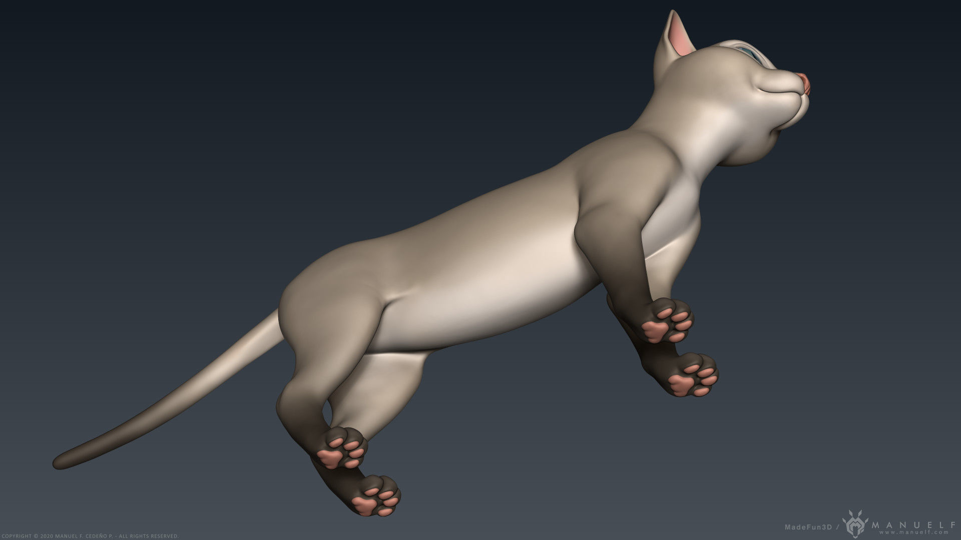 Stylized Cartoon Cat 3D model_15