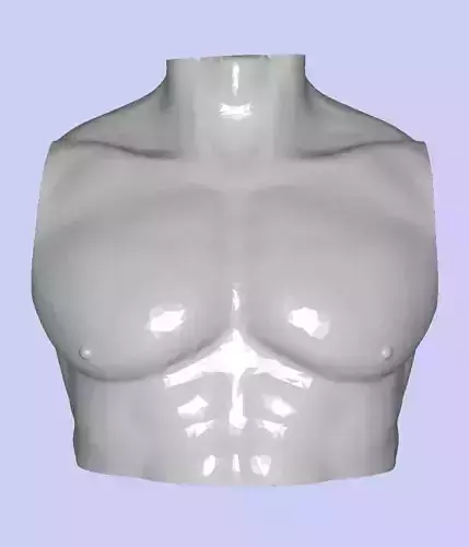 MakeIT Male Bust 3 Piece Top Body Base 3D Model 3D model