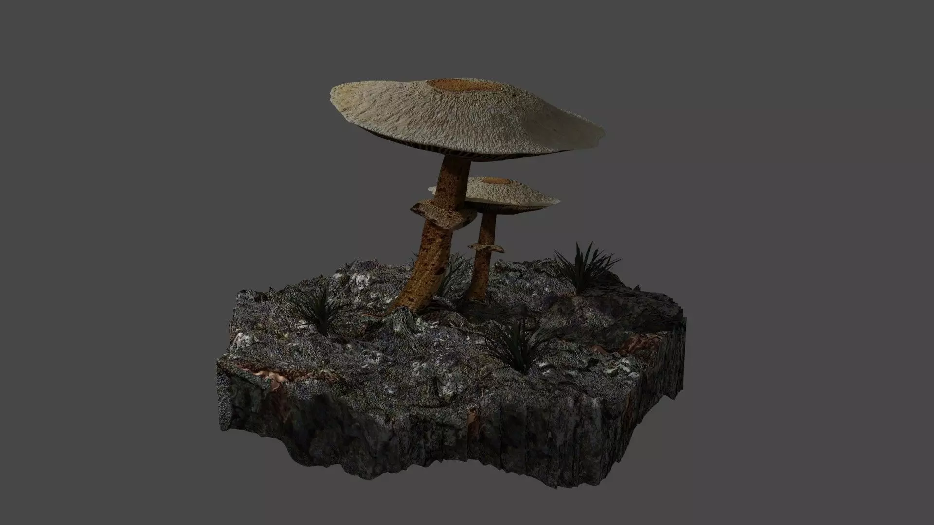 Mushrooms mushroom Free 3D model