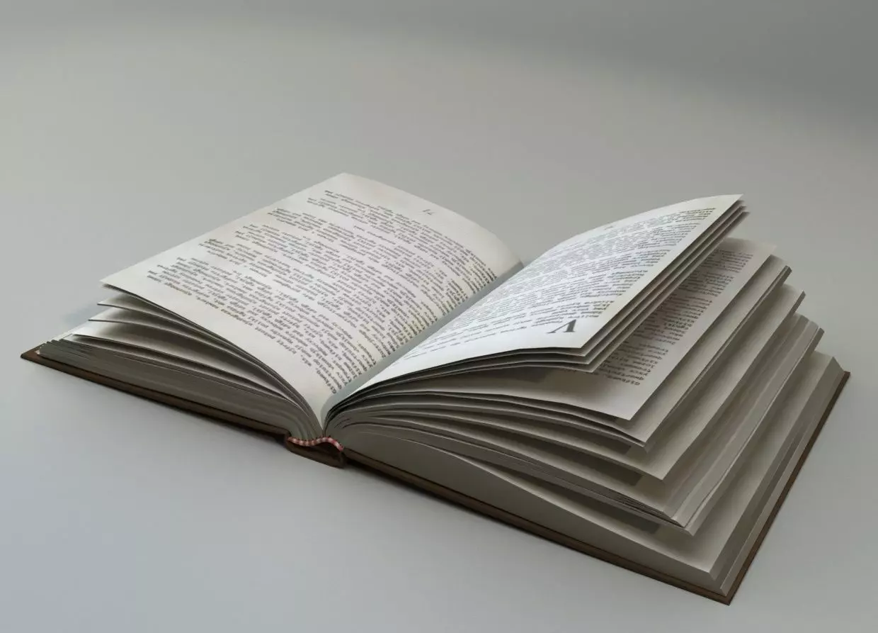 A Book Z open Low-poly 3D model