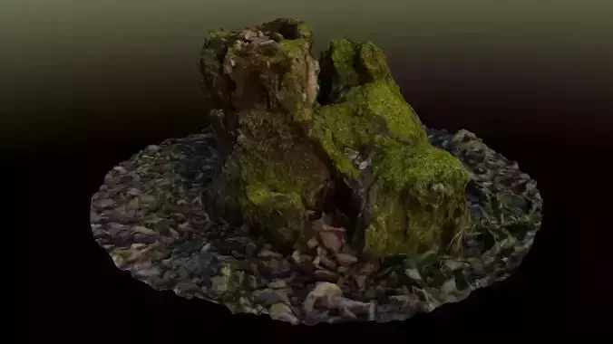 Stump in moss 