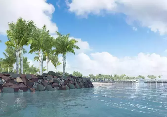 queen palm mature B 3D model