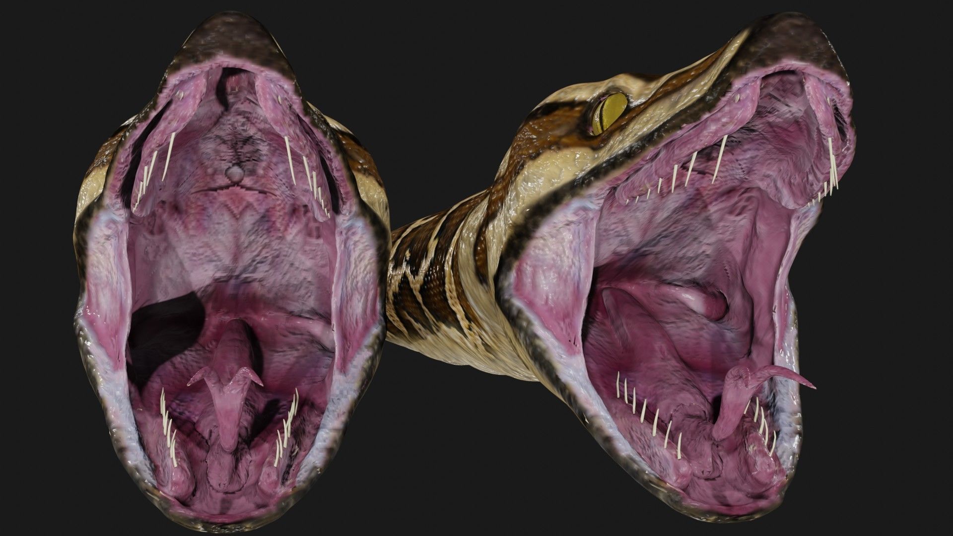 Python snake Low-poly 3D model_1