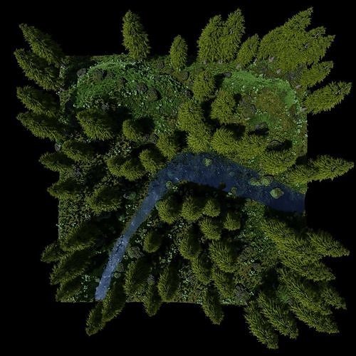 Forest Scene 3D model 7