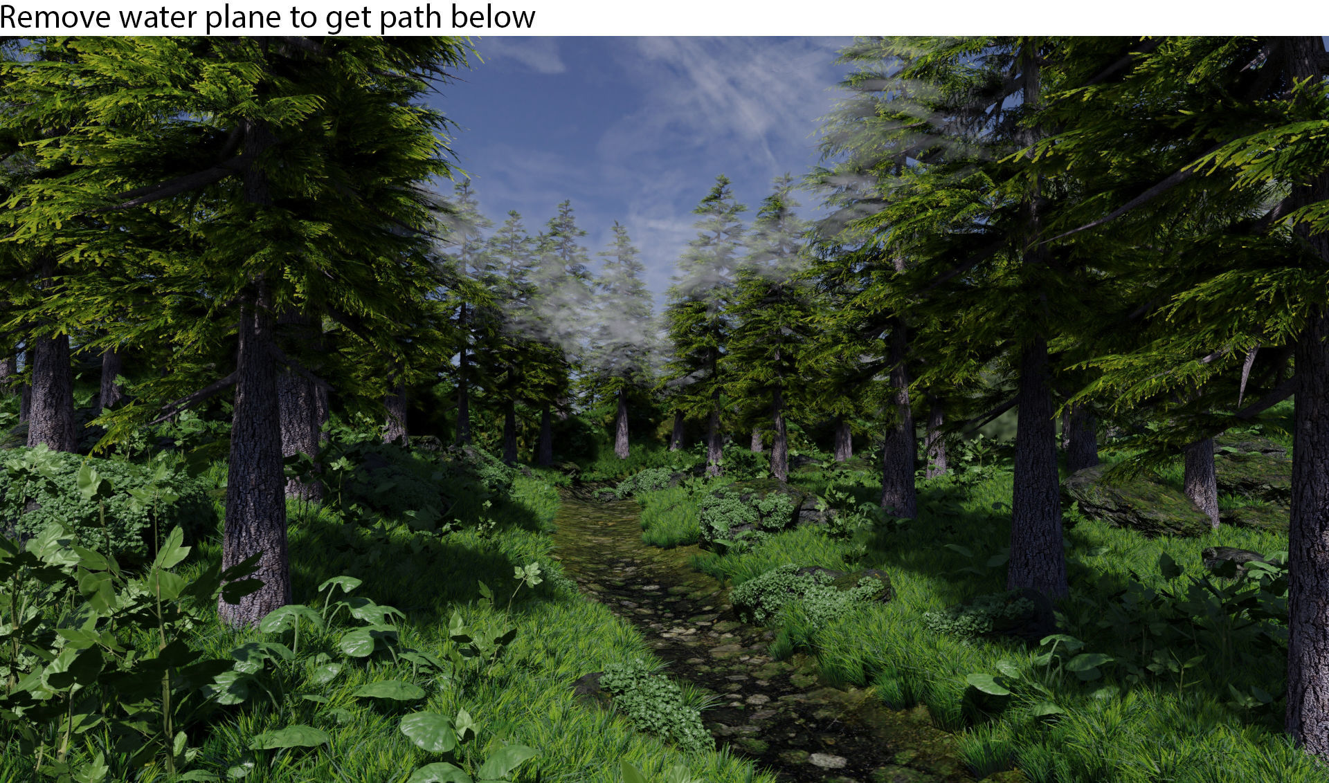 Forest Scene 3D model_9