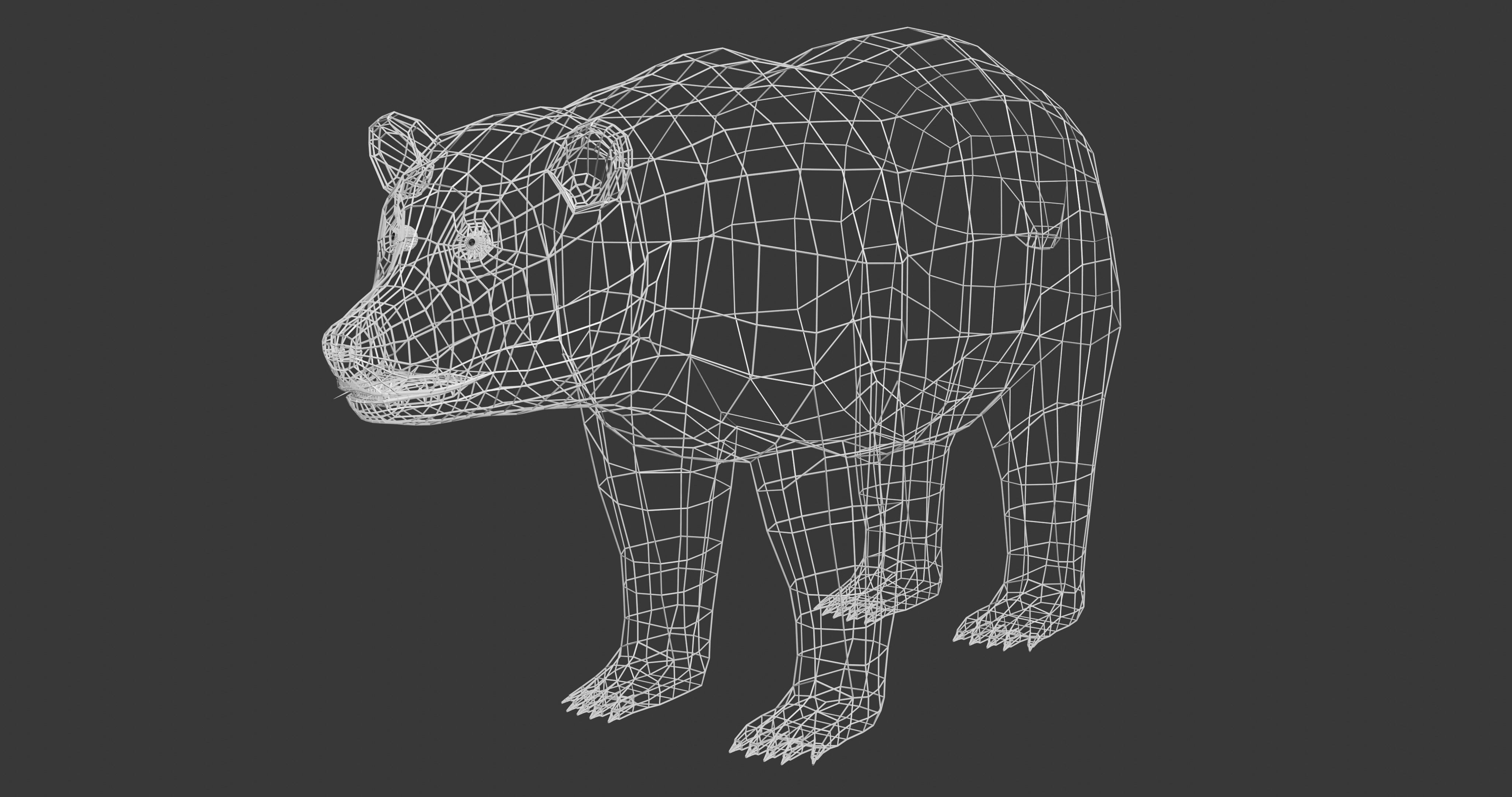 Brown Bear - Low-poly Low-poly 3D model_13