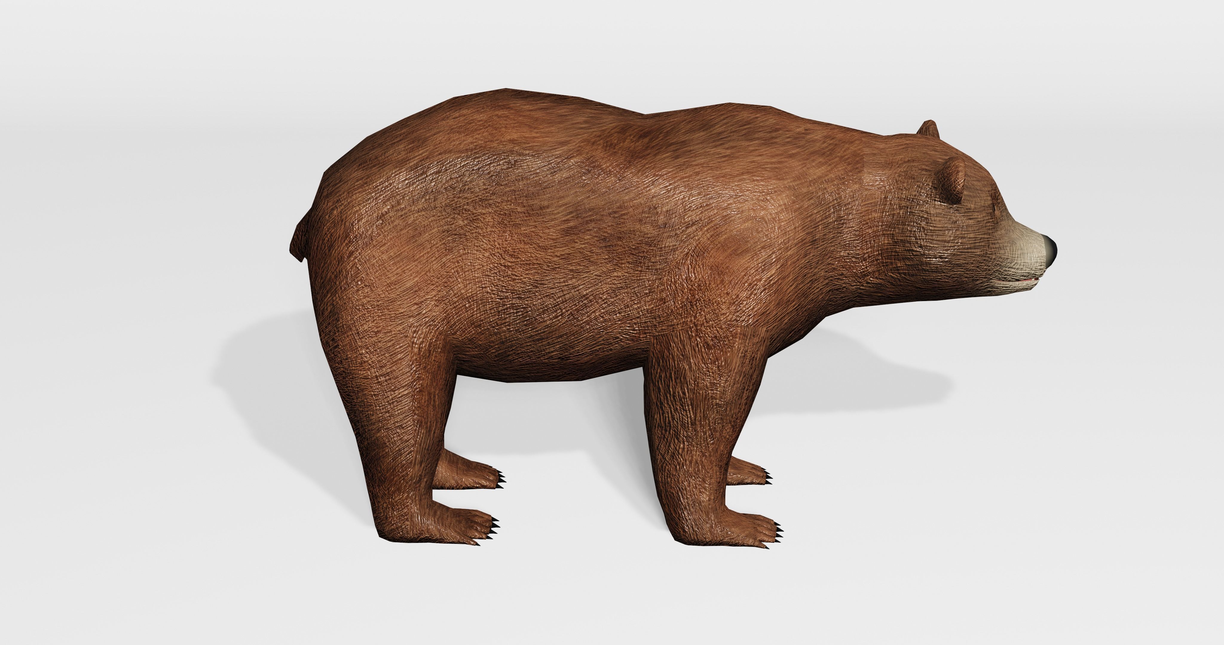 Brown Bear - Low-poly Low-poly 3D model_7