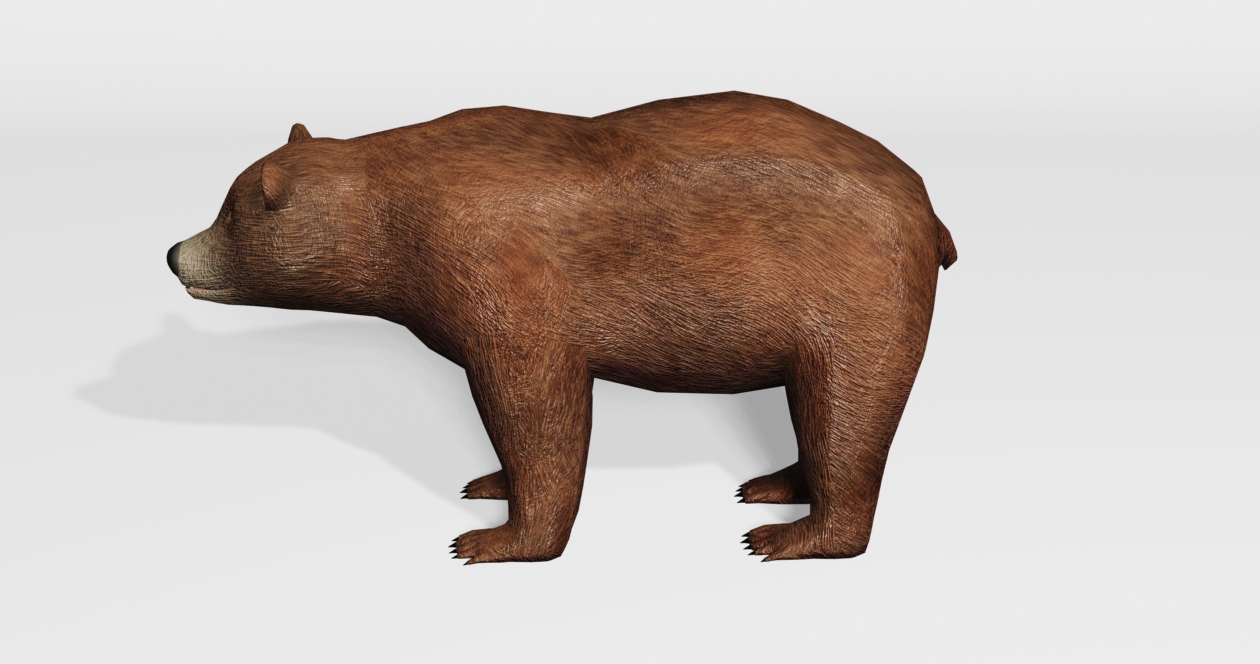 Brown Bear - Low-poly Low-poly 3D model_3