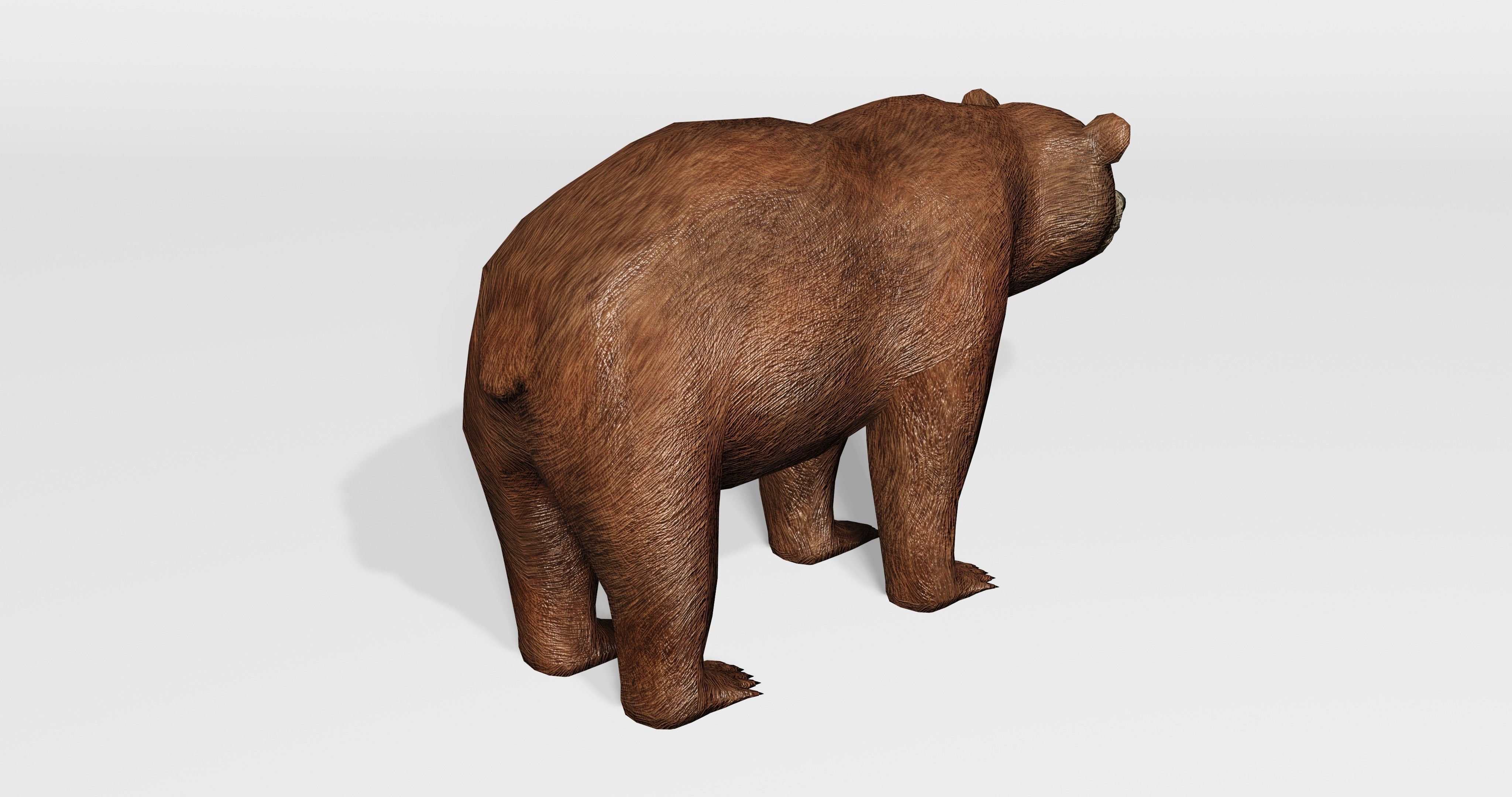 Brown Bear - Low-poly Low-poly 3D model_6