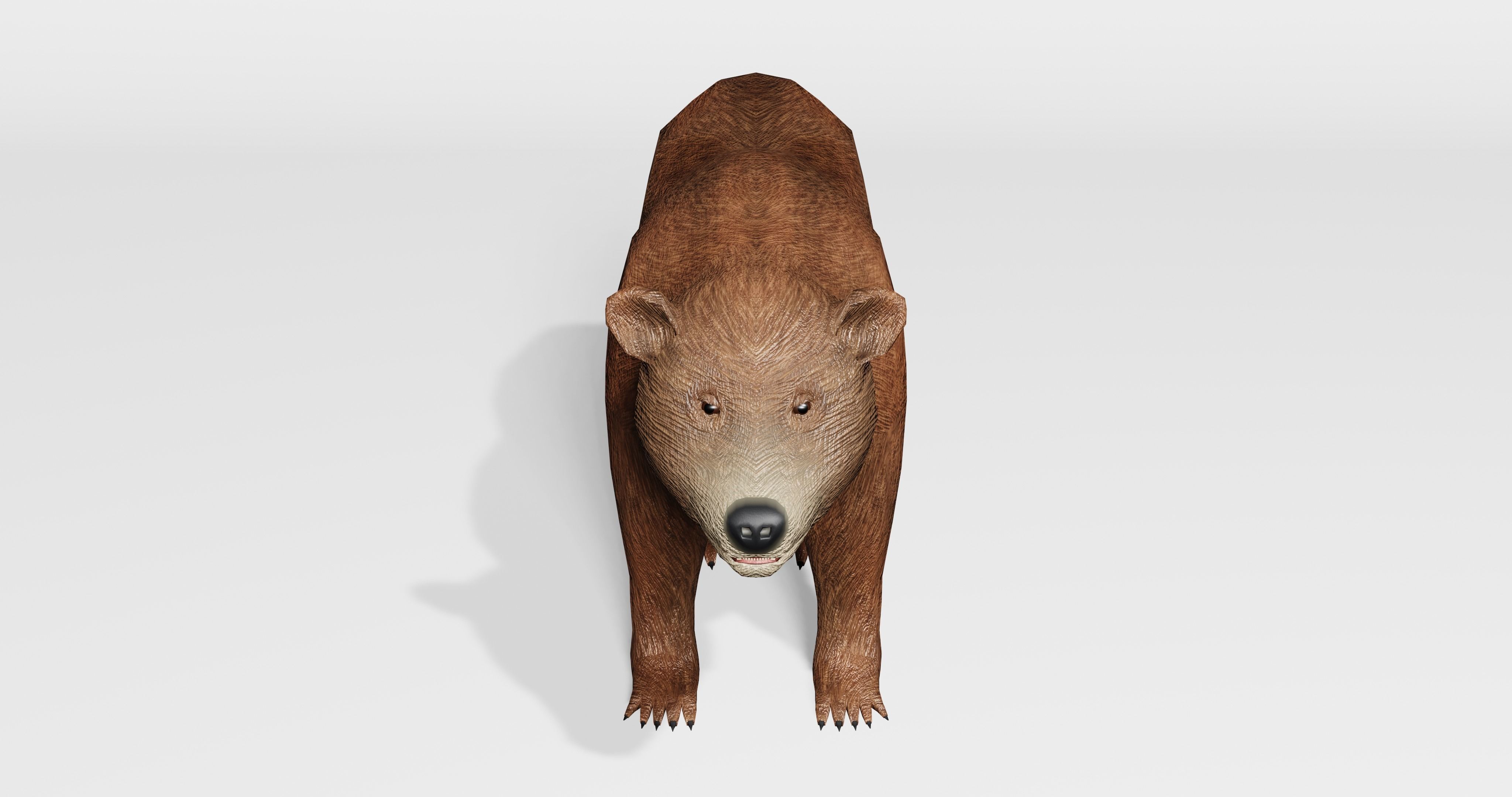 Brown Bear - Low-poly Low-poly 3D model_9