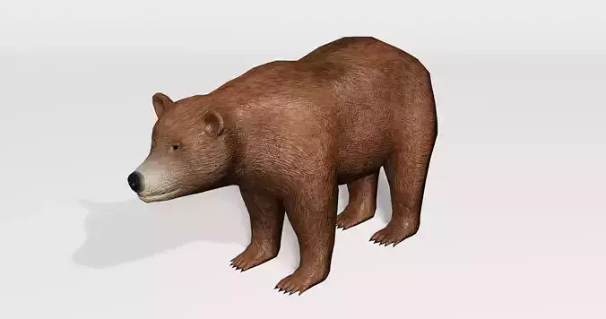 Brown Bear - Low-poly