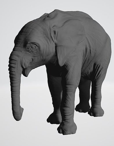 elephant-natural-history-museum-1 elephant Free 3D print model